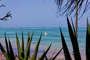 Kenya beach along Indian Ocean