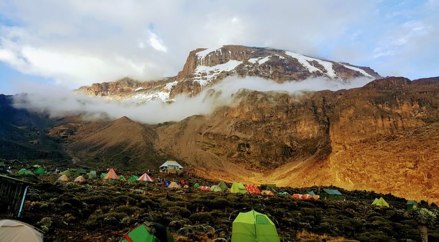 kilimanjaro-2412546_960_720