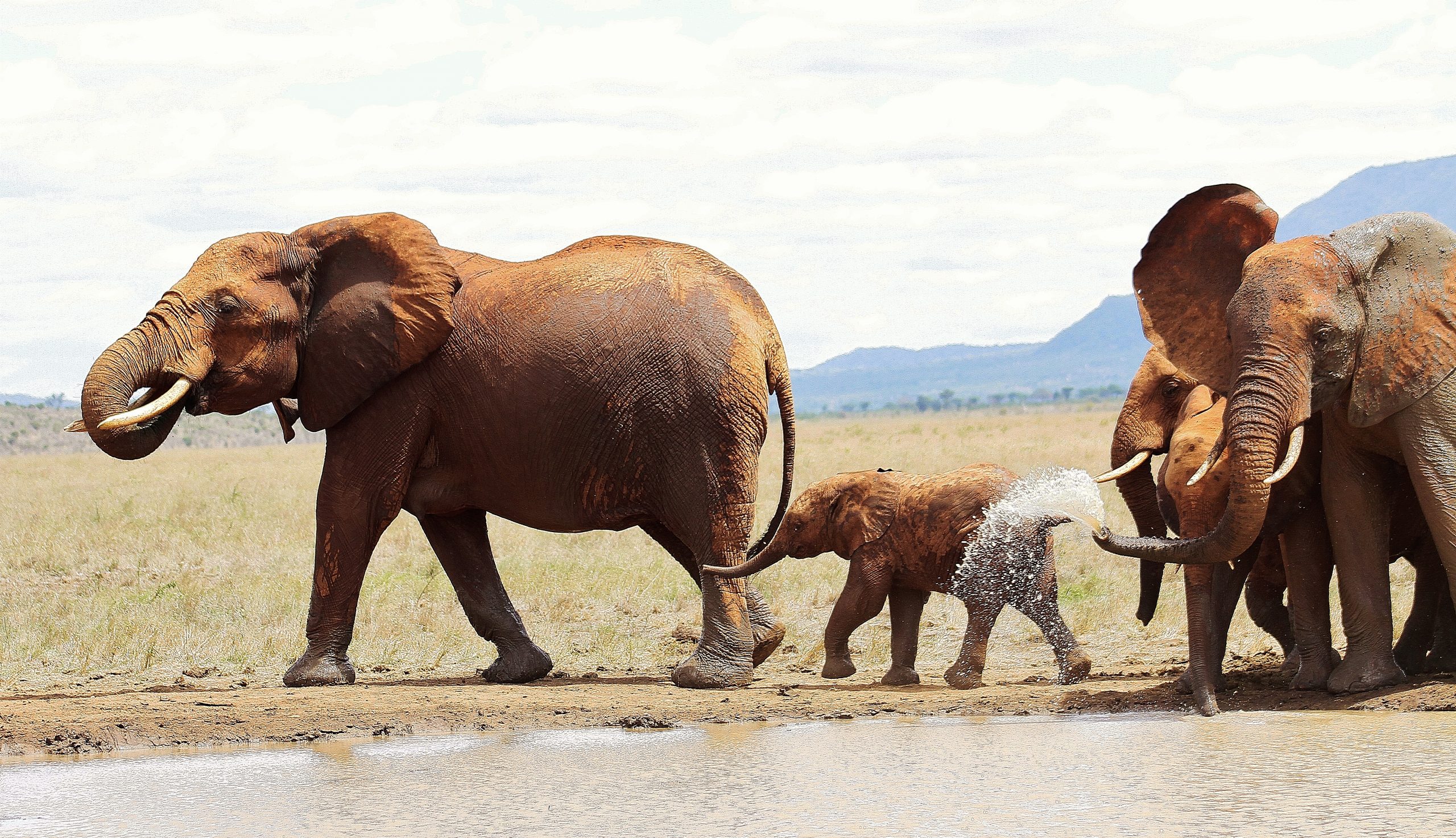 Tsavo National Park