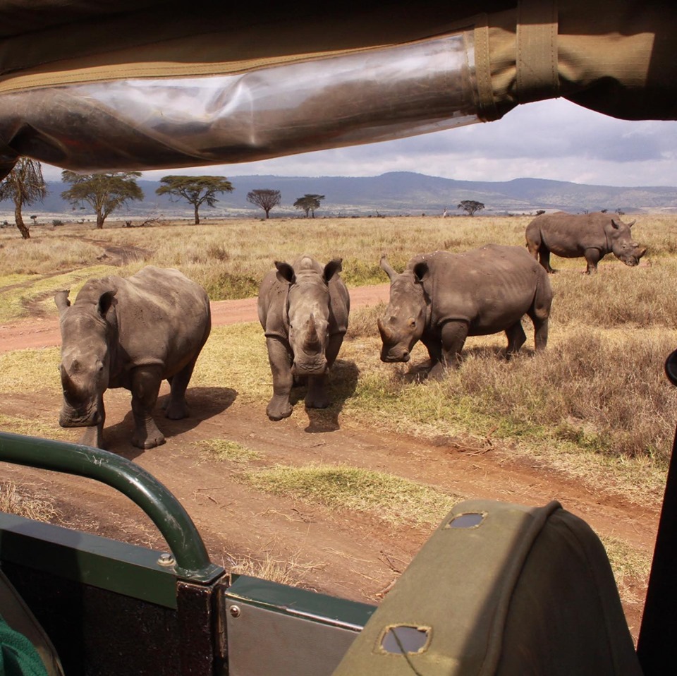 Conservation-Safari-Diani-beach